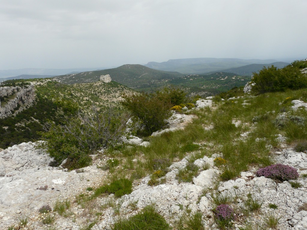 Sainte Beaume, 26-05-08, 13-06.jpg